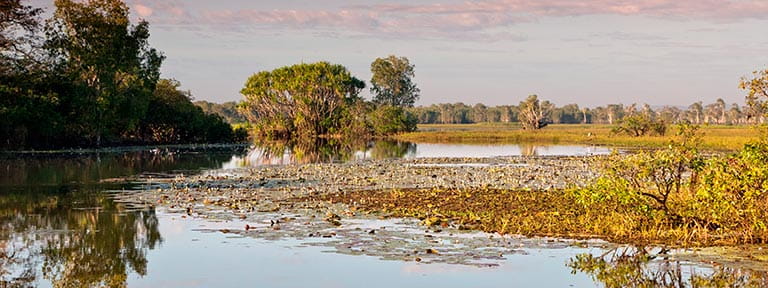 Wetlands in Kakadu National Park